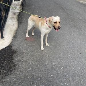 Meet your Posher, Richard